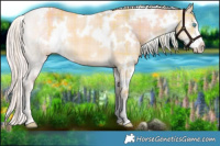 Horse Color:Plaid  White Spotted Cremello Dun Sabino 