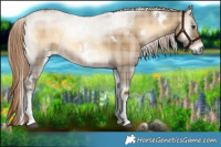 Horse Color:Plaid  White Spotted Liver Red Dun Onyx Rabicano 