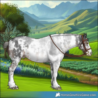 Horse Color:White Spotted Liver Chestnut Mushroom Sabino 