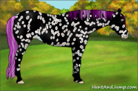 Horse Color:Painted Brown Ice Appaloosa 