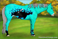 Horse Color:Painted Palomino Ice Frame