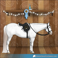 Horse Color:Liver Red Dun Appaloosa Brindle 