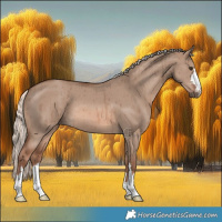 Horse Color:Red Dun Mushroom Brindle 