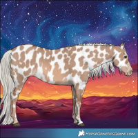 Horse Color:Red Dun Mushroom Appaloosa Brindle 
