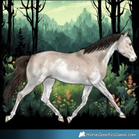 Horse Color:White Spotted Liver Red Dun Sabino Rabicano 