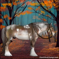 Horse Color:White Spotted Liver Chestnut Tobiano 