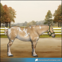 Horse Color:White Spotted Chocolate Palomino Dun Brindle