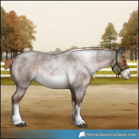 Horse Color:White Spotted Liver Red Roan Rabicano
