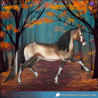 Horse Color:Brown Onyx Tobiano 