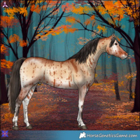 Horse Color:Bay Onyx Brindle 