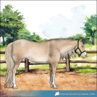 Horse Color:White Spotted Chocolate Palomino Pearl Mushroom