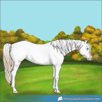 Horse Color:Perlino Dun Varnish 
