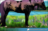 Horse Color:Void Watercolor White Spotted Liver Chestnut Splash Rabicano 