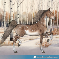 Horse Color:White Spotted Liver Red Dun Brindle 