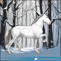 Horse Color:Brown Snowcap 