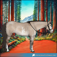 Horse Color:Liver Red Dun Sabino 