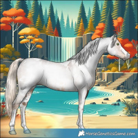 Horse Color:Gray White Spotted Chocolate Palomino Sabino 