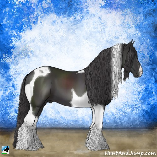 Horse Color:Smoky Black Chinchilla Tobiano 