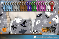 Horse Color:Smoky Creme Dun Splash