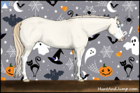 Horse Color:Perlino Dun Splash 