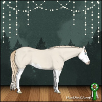 Horse Color:Smoky Creme Dun Splash 
