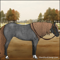 Horse Color:Liver Red Roan 