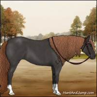 Horse Color:Liver Red Roan 
