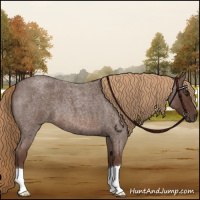 Horse Color:Liver Red Roan 