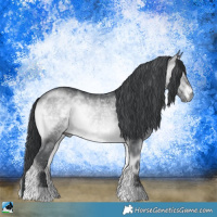 Horse Color:Brown Chinchilla Onyx 