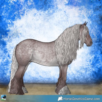 Horse Color:Chocolate Silver Blue Chinchilla Roan Rabicano 