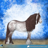 Horse Color:Chocolate Brown Chinchilla Sabino Rabicano 