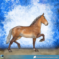 Horse Color:Chocolate Silver Buckskin Rabicano