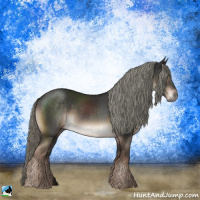 Horse Color:Liver Chestnut Mushroom Rabicano 