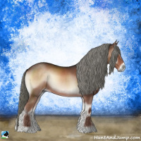 Horse Color:Liver Red Onyx Mushroom Rabicano 