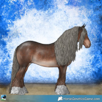 Horse Color:Liver Chestnut Mushroom Rabicano 
