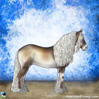 Horse Color:Liver Red Onyx Mushroom Rabicano 