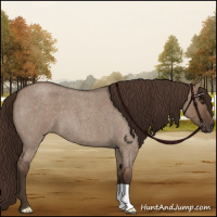 Horse Color:Liver Red Dun Roan 