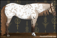 Horse Color:Liver Red Dun Roan Near Leopard 