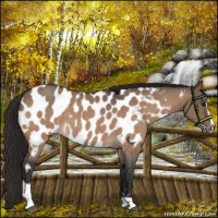 Horse Color:Brown Roan Dun Sabino Near Leopard 