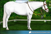 Horse Color:Chocolate Palomino Roan Blanket 