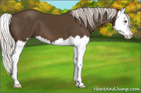 Horse Color:Silver Smoky Black Splash 
