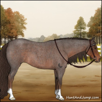 Horse Color:Liver Red Roan 