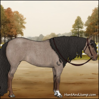 Horse Color:Liver Red Dun Roan 