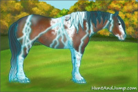 Horse Color:Thunderstruck Brown Splash Tobiano Rabicano 