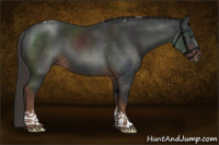 Horse Color:Liver Chestnut Tobiano Rabicano 