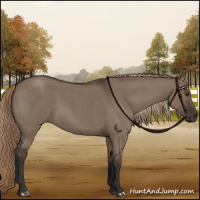 Horse Color:Liver Red Dun Roan 