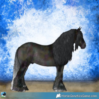 Horse Color:Midnight Brown Ice Onyx Sabino Rabicano 