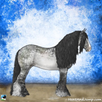 Horse Color:Black Ice Sabino