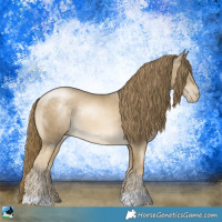 Horse Color:Buckskin Pearl Rabicano 