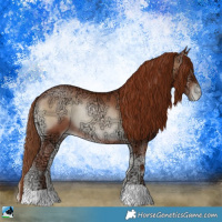 Horse Color:Brown Ice Pearl Onyx Rabicano 